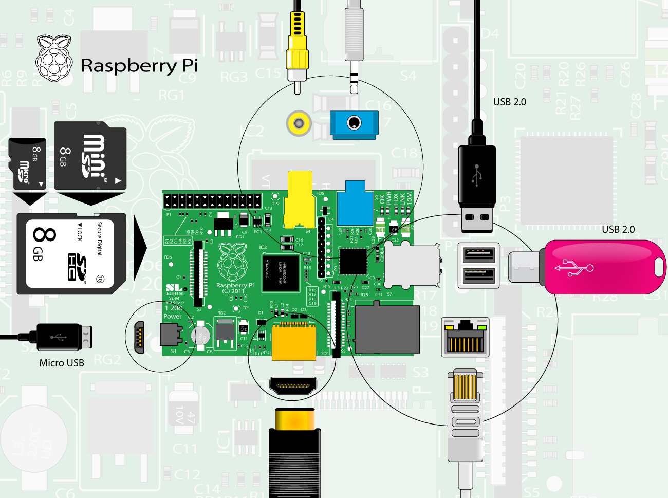 Illustration vectorielle & infographie